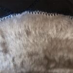 Wintersicherheitsstiefel CARWIN HIGH S3