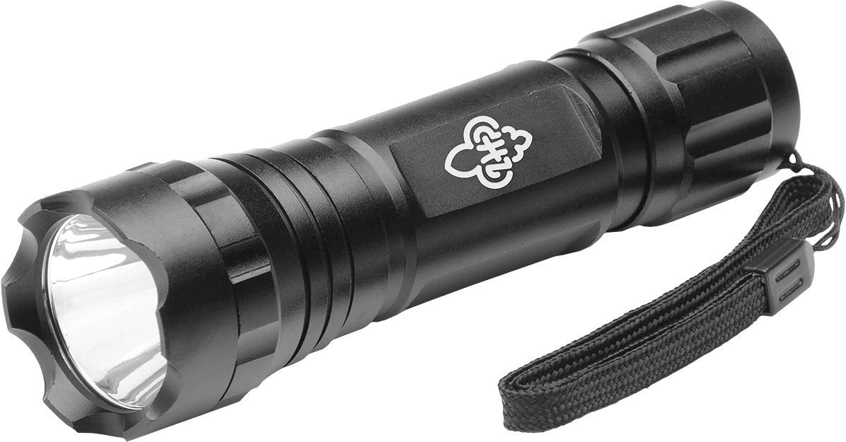 Mactronic® Falcon Eye ALPHA Arbeits-LED-Taschenlampe Mactronic® Falcon Eye ALPHA Arbeits-LED-Taschenlampe