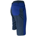 Arbeitsshorts DELUX ROYAL